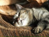 Фотография Vel Ники