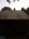 Андрій Кравчук фотография #45 (источник - https://vk.com/id15754077)
