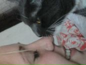 Фотография Боцан Ирины