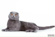 Фотография И ;-) Валерии