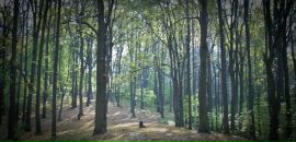 Фотография Грундула Максима