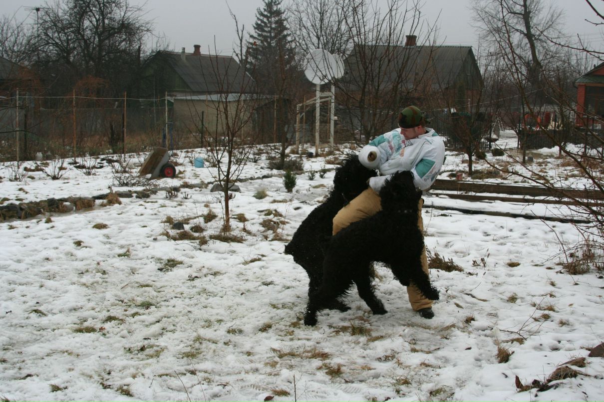 Сергей Пересунчак фотография #13
