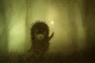 Фотография Поповой Валентины