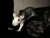 Фотография Виноградовой Виктории