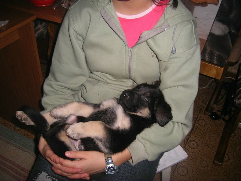 №13, Асария Бушмакова, Москва, Россия №13, Асария Бушмакова, Москва, Россия