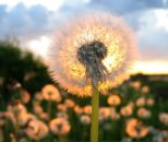 Фотография Галеева Рустама