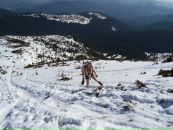 Любомир Ізмайлов фотография #5 (источник - https://vk.com/id66824623)