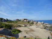 Анна Абраменко фотография #47 (источник - https://vk.com/id758845)