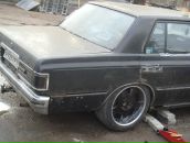 Фотография Косолапова Мичигана