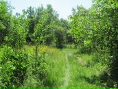 Ірина Проців фотография #9 (источник - https://vk.com/id3648115)