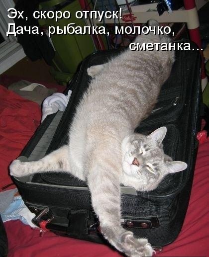  фото №47