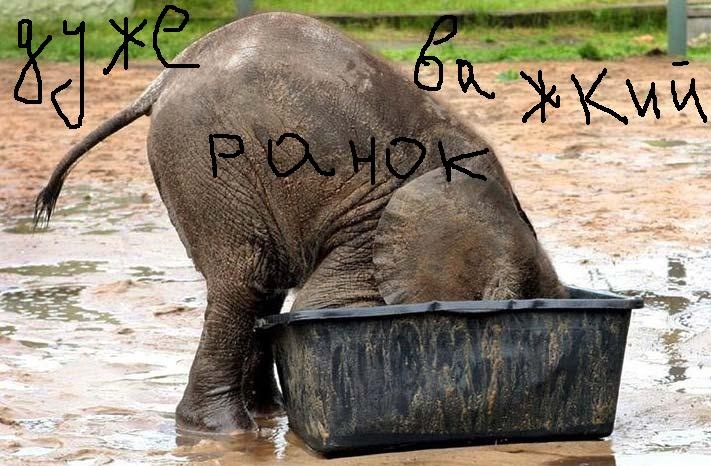 Рома Ковбаса фотография #48