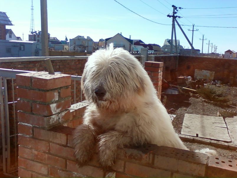 Иван Иванов фото №4