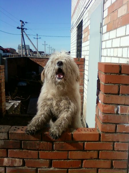 Иван Иванов фото №2