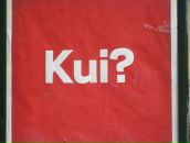 Фотография Tulilintu Leena