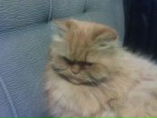 Фотография Генералова Андрея