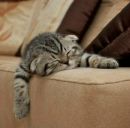 Лілюсік)))) Лазарук*) фотография #23 (источник - https://vk.com/id153656972)