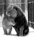 Фотография Юнусова Марселя