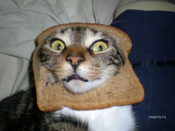 Виктор Быков фотография #8