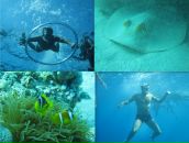 Фотография Иванова Саши