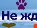 Сергій Сторчак фотография #4 (источник - https://vk.com/id132783809)