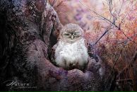 Надія Прекрасна фотография #39 (источник - https://vk.com/id89319620)