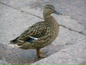 Фотография Казачковой Татьяны