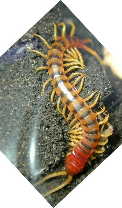 Тарас Дем фотография #4