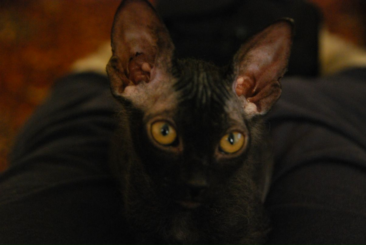 Даниил Стариченко фотография #47