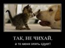 Діма Стефаник фотография #19 (источник - https://vk.com/id137430595)