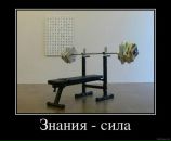 Антон Матійко фотография #28 (источник - https://vk.com/id31452730)