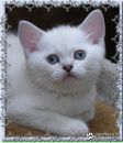 Лариса Мірошниченко фотография #7 (источник - https://vk.com/id91562557)