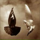 Фотография Маркова Артёма