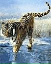 Валерій Гулевець фотография #7 (источник - https://vk.com/id82038473)