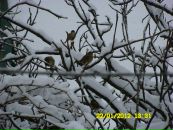 Геннадій Мірошник фотография #30 (источник - https://vk.com/id9354085)