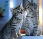 Віктор Якубовський фотография #5 (источник - https://vk.com/id8578390)