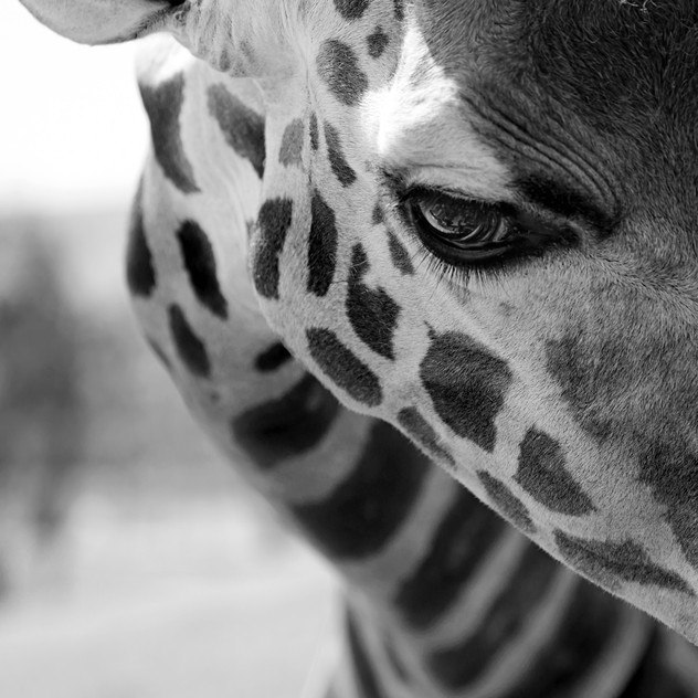 Антон Тищенко фотография #8