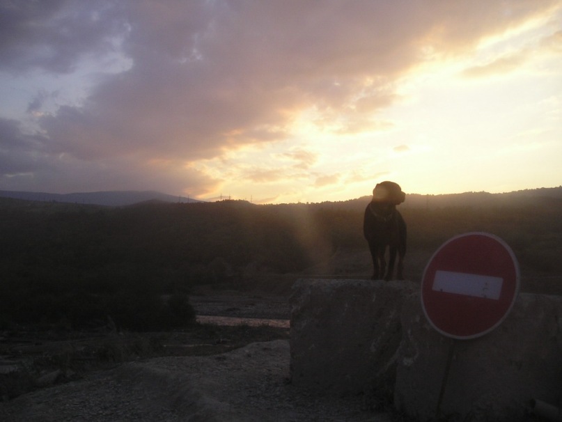 Дмитрий Шарапов фотография #30