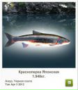 Віктор Павлюк фотография #49 (источник - https://vk.com/id159639917)