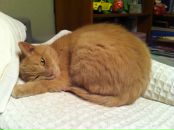 Фотография Владимировой Ольги