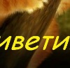 Андрій Новосад фотография #25 (источник - https://vk.com/id156013215)