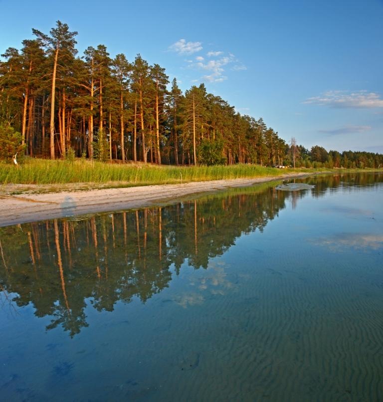 Дмитрий Попов фотография #24