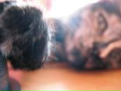 Фотография Пузановой Инны