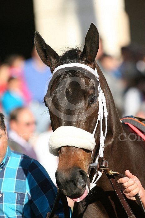 Buster's Ready фотография #25