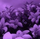 Софія Пилипів фотография #8 (источник - https://vk.com/id156898781)