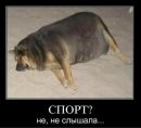Фотография Протопопова Алексея