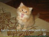 Фотография Fomenko Roman