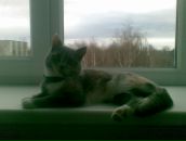 Іван Марочканич фотография #33 (источник - https://vk.com/id20884231)