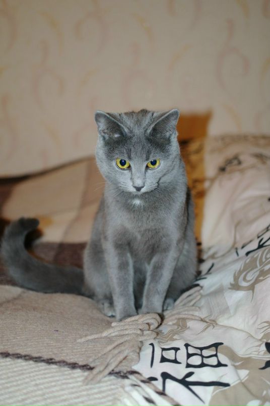 So What фотография #26