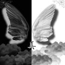 Сергій Шеремета фотография #30 (источник - https://vk.com/id154453744)